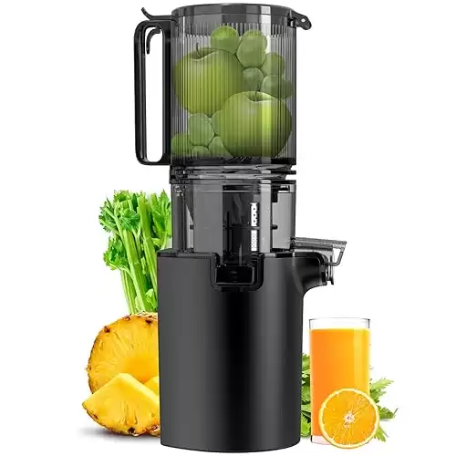 Masticating Juicer, 4.8-inch Slow Cold Press Juicer with Larger Feed Chute, Pure Juicer Machines for Vegetables & Fruits, Easy to Clean with Brush