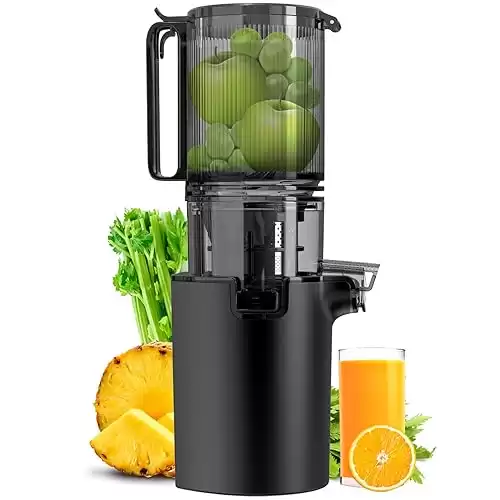 Masticating Juicer, 4.8-inch Slow Cold Press Juicer with Larger Feed Chute, Pure Juicer Machines for Vegetables & Fruits, Easy to Clean with Brush